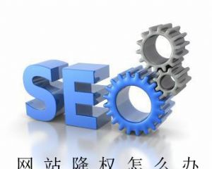 ��վ��Ȩseo���Ӧ�ԣ�