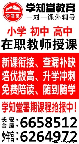 �ɶ�����seo��Ƹ