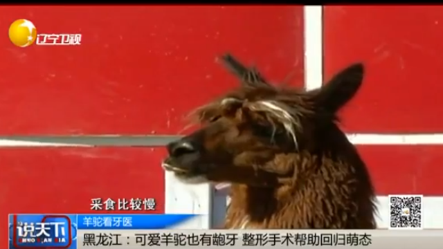 ������վ�ƹ�