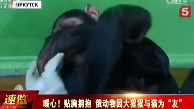 ����seo��˾