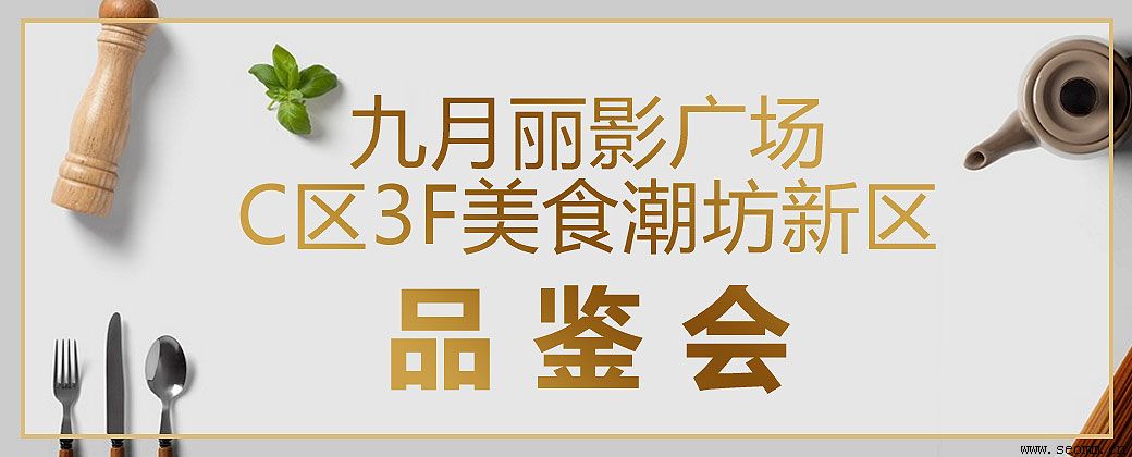 ����seo��˾