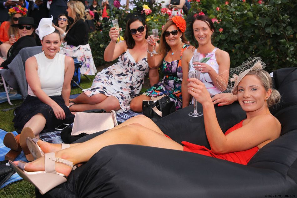 �����Ż�