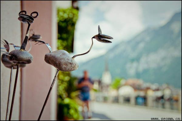 ��鿴�Ż���˾