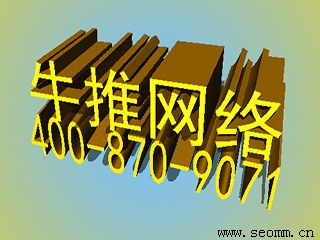 ��վ�Ż���˾