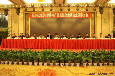 ��ɳ��վ�Ż���˾