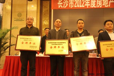 ��ɳ��վ�Ż���˾