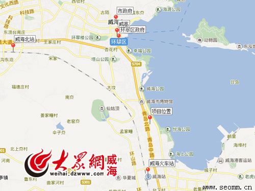 山东网站优化公司