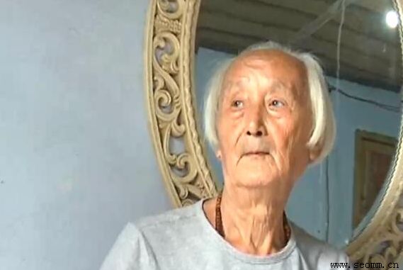 ʯ��ׯseo��˾