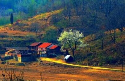 ���������ƹ㹫˾