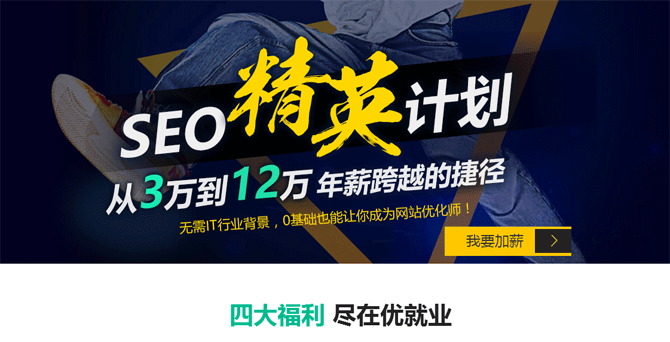 ����seo��˾