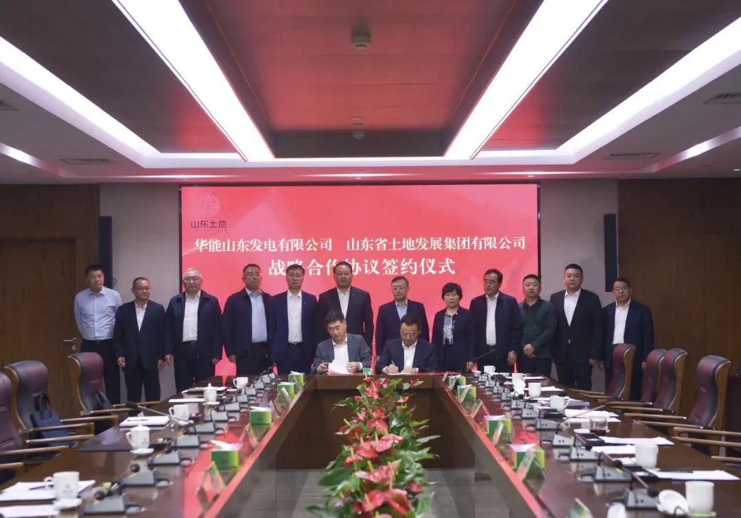 山东网站优化公司