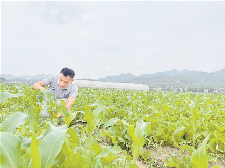 品牌推广有限公司